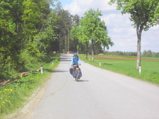 Strasse im Waldviertel