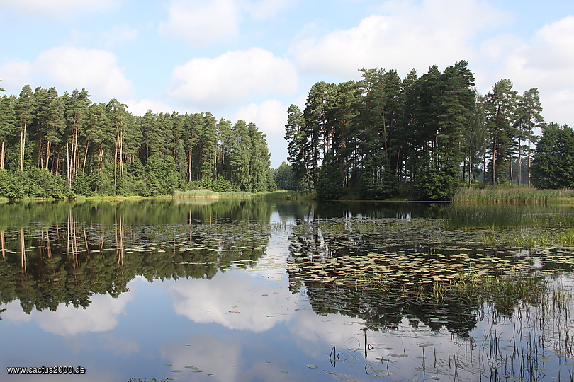 Moorlandschaft