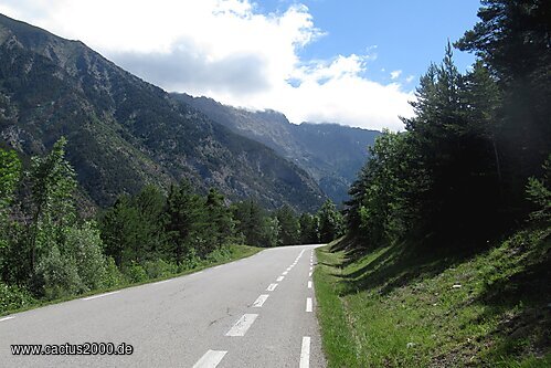 Anstieg zum Col de la Bonette, erst Wald