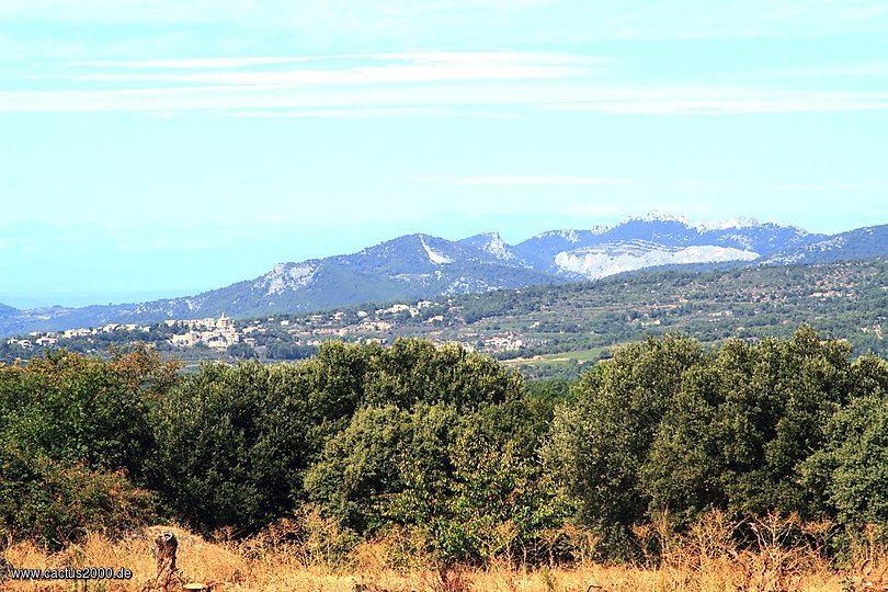 Les Dentelles