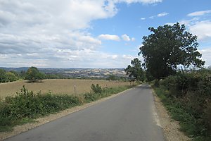 Straße nach Maurs