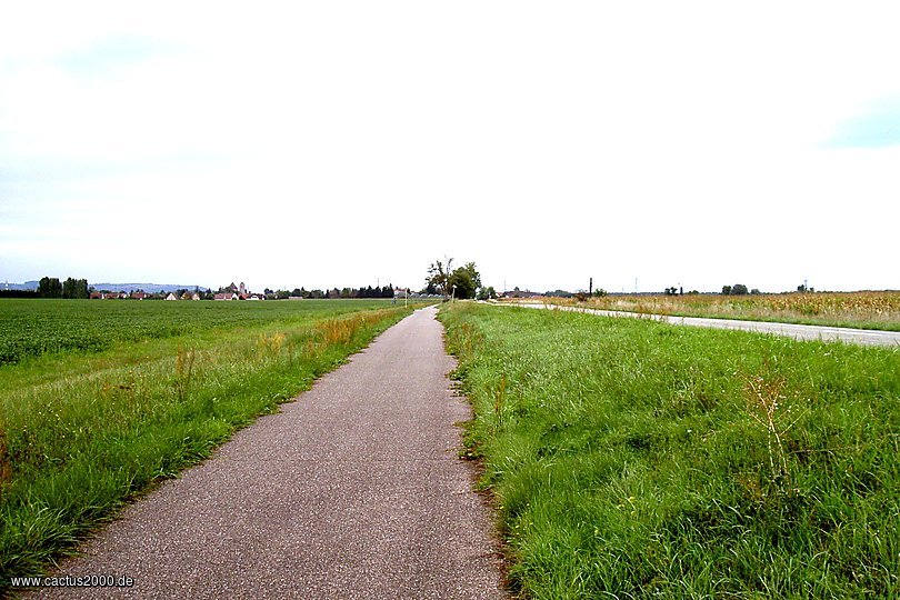 Radweg an D468