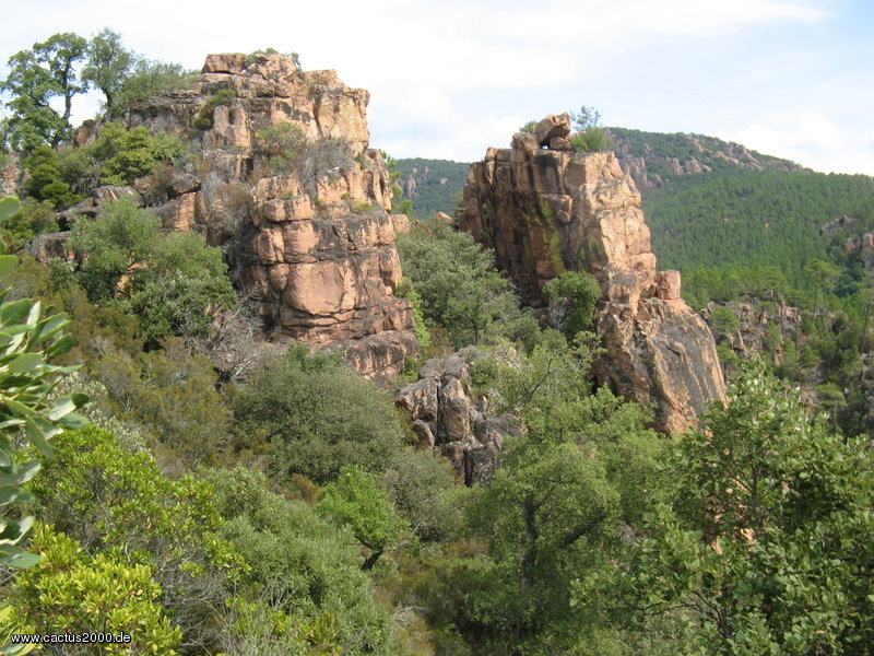 Gorges du Blavet