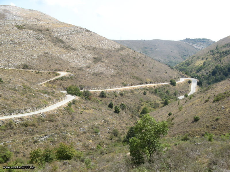 Col de Vence