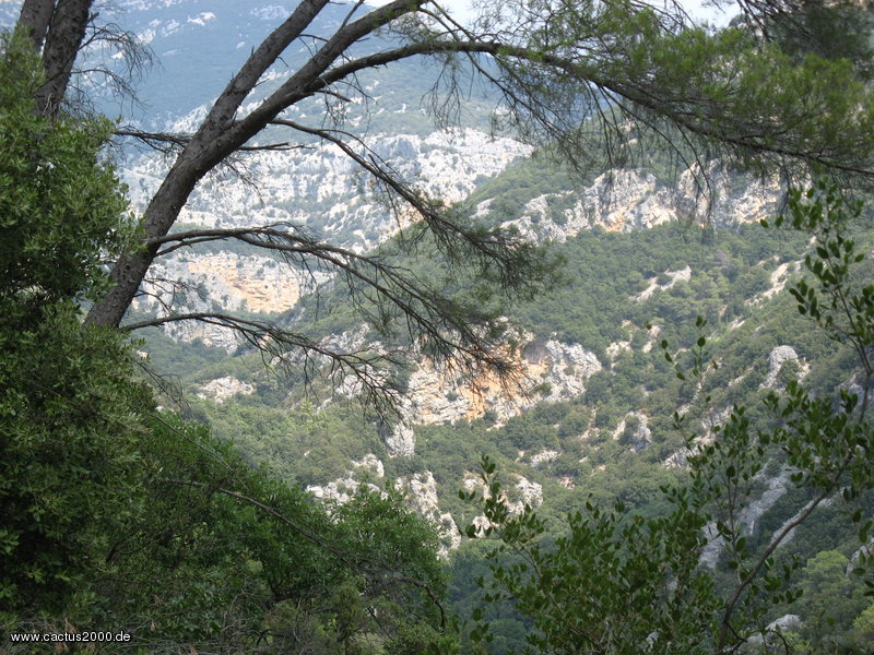 Gorges de Siagne