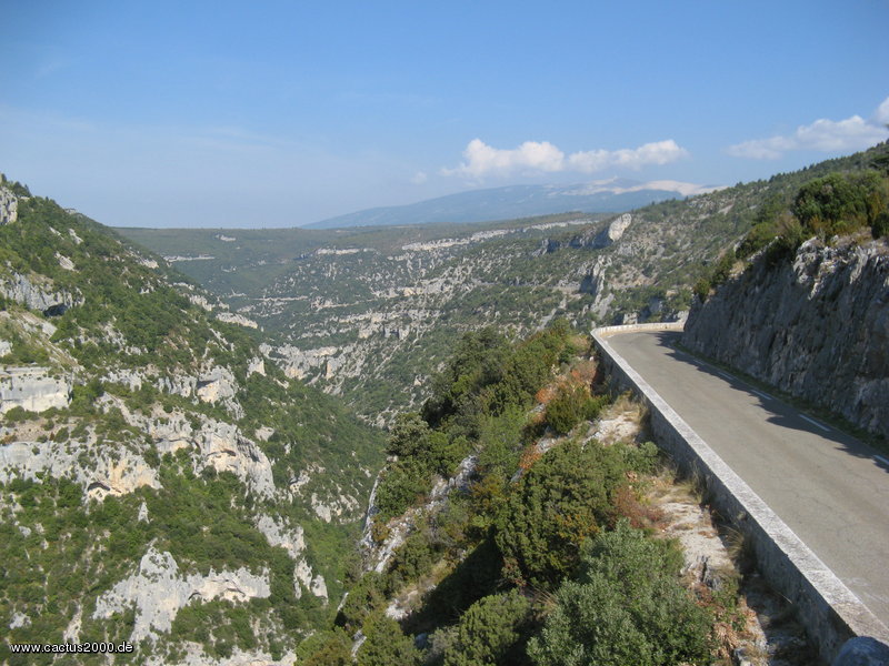 Gorges de la Nesque