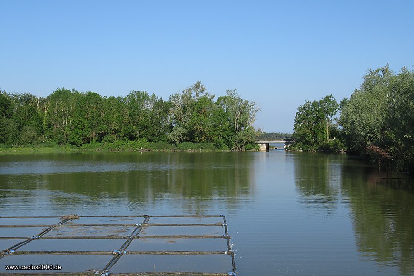 Seenlandschaft des Dombes