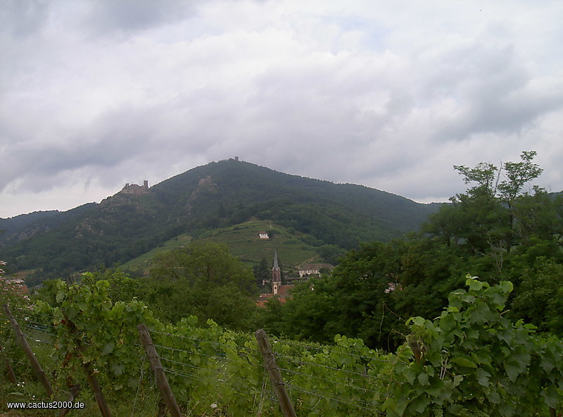 Haut-Koenigsbourg