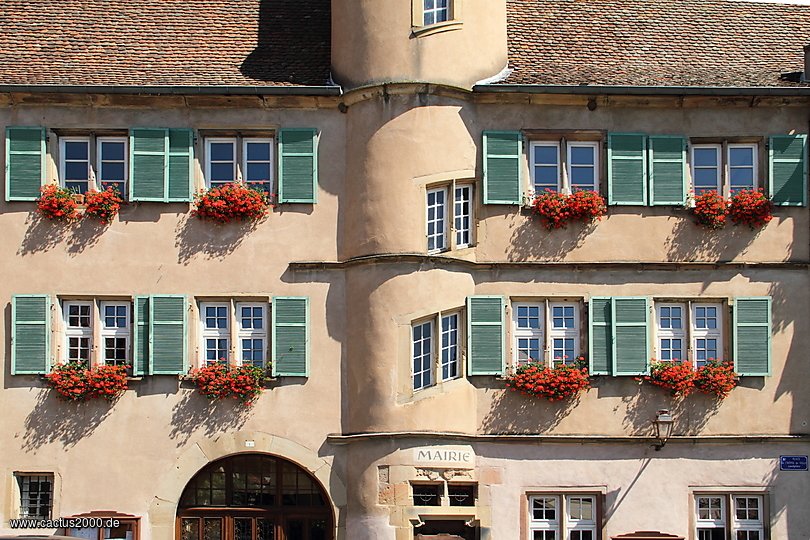 Rathaus in Boersch