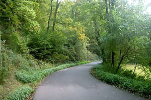 Straße zum Col Amic