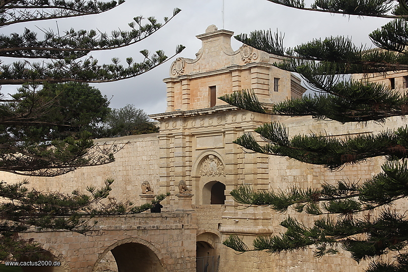 Mdina