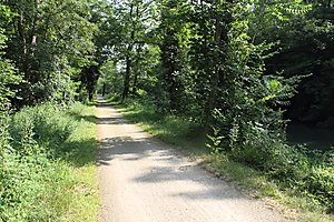 Radweg am Rhein-Rhone-Kanal