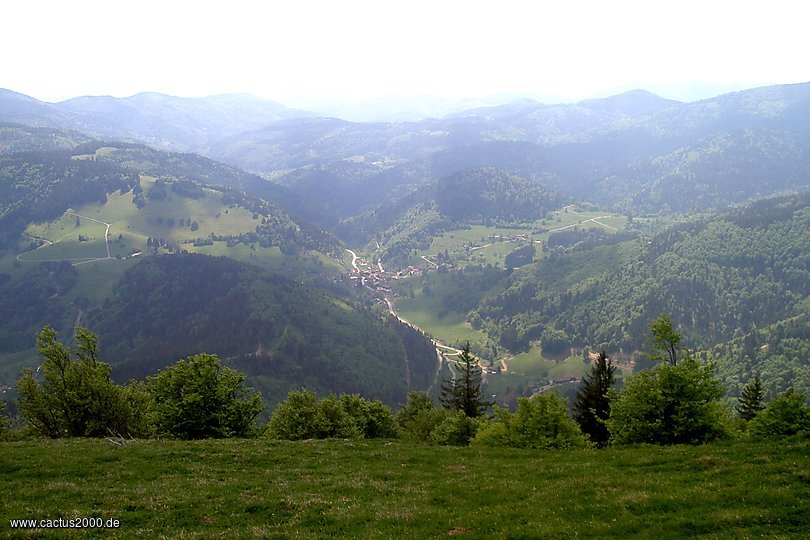 Wiesental