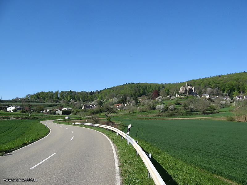 Burg Landeck