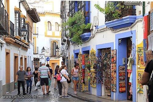 Judería, Córdoba