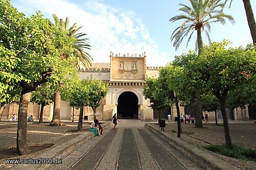 Eingang in die Mezquita-Catedral, Córdoba