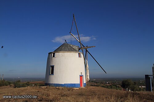 Windmühle in Serpa, Portugal