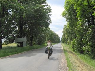 Kastanienallee