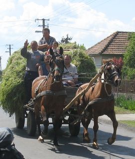 Pferdewagen