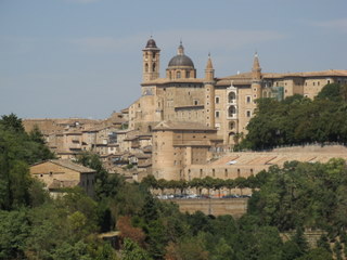 Urbino